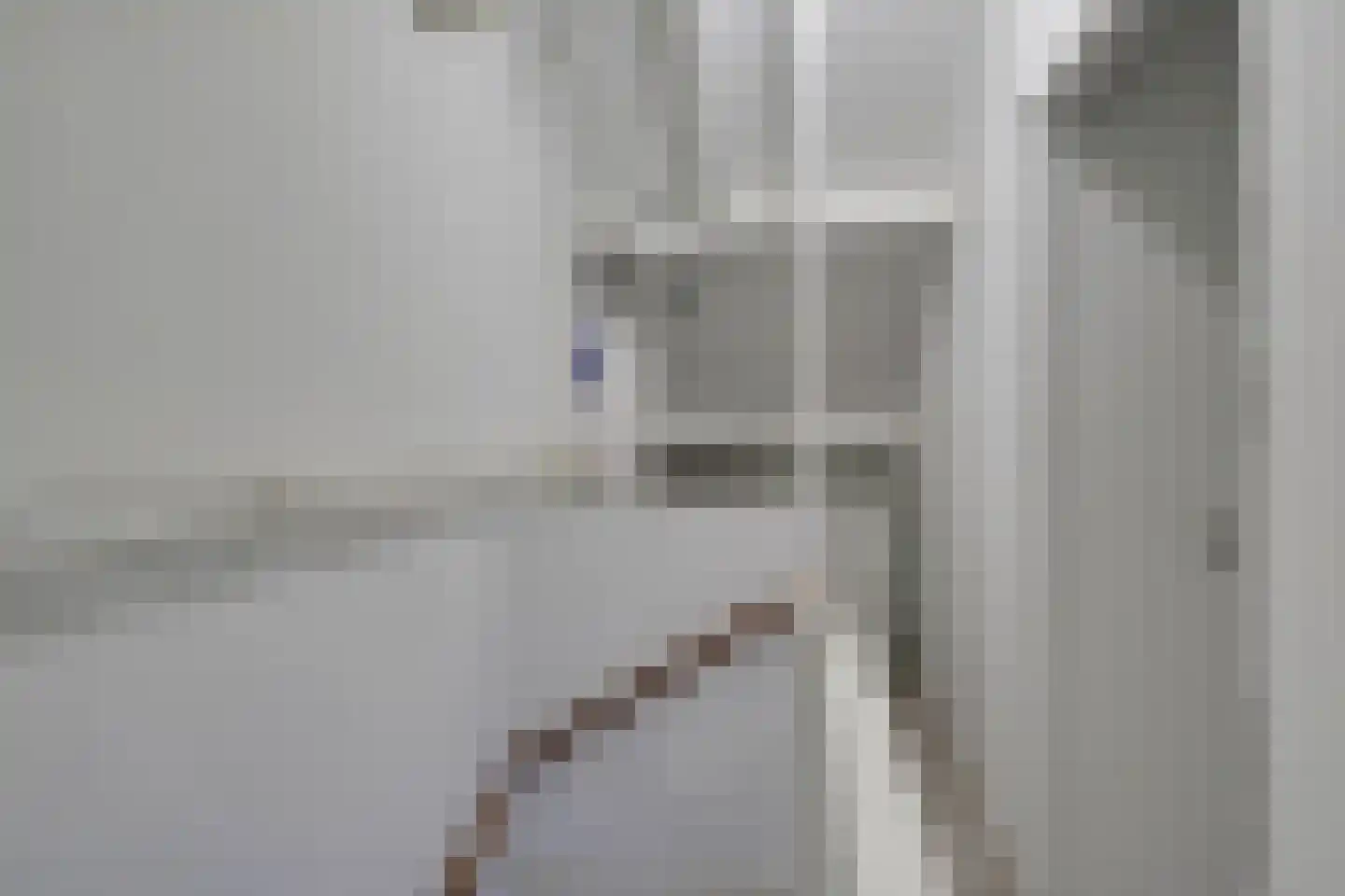 Lijster 2 Hoorn thumbnail 43