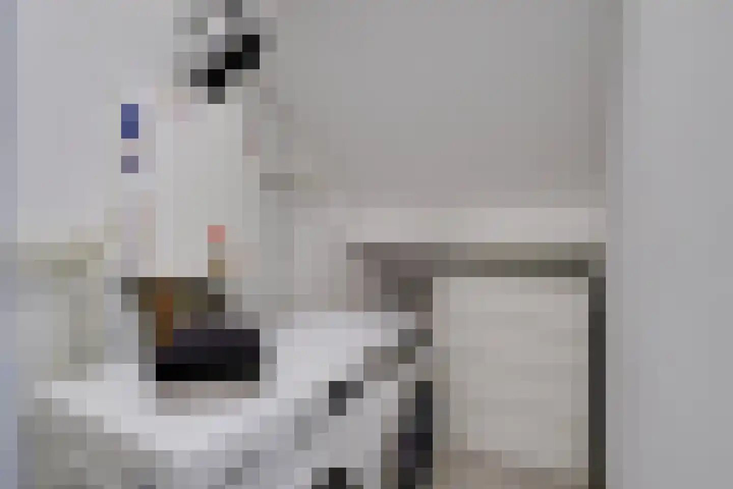 Lijster 2 Hoorn thumbnail 44
