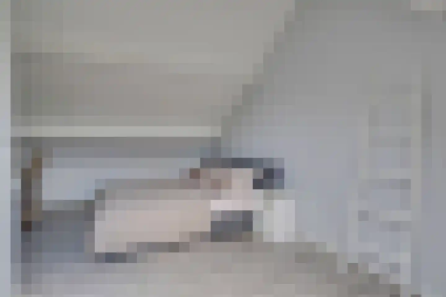 Lijster 2 Hoorn thumbnail 45