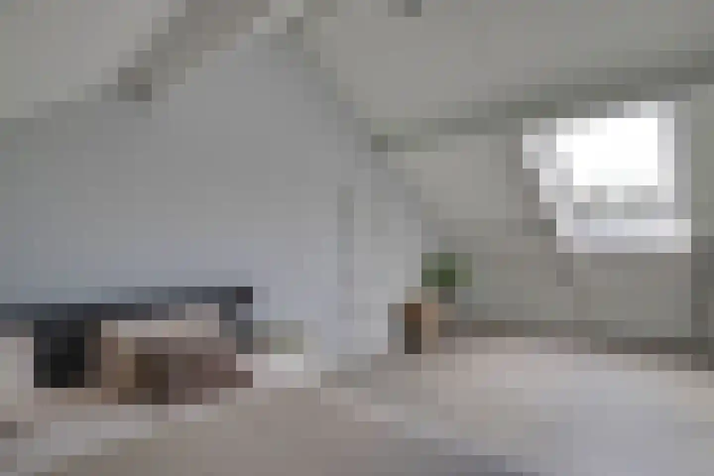 Lijster 2 Hoorn thumbnail 47