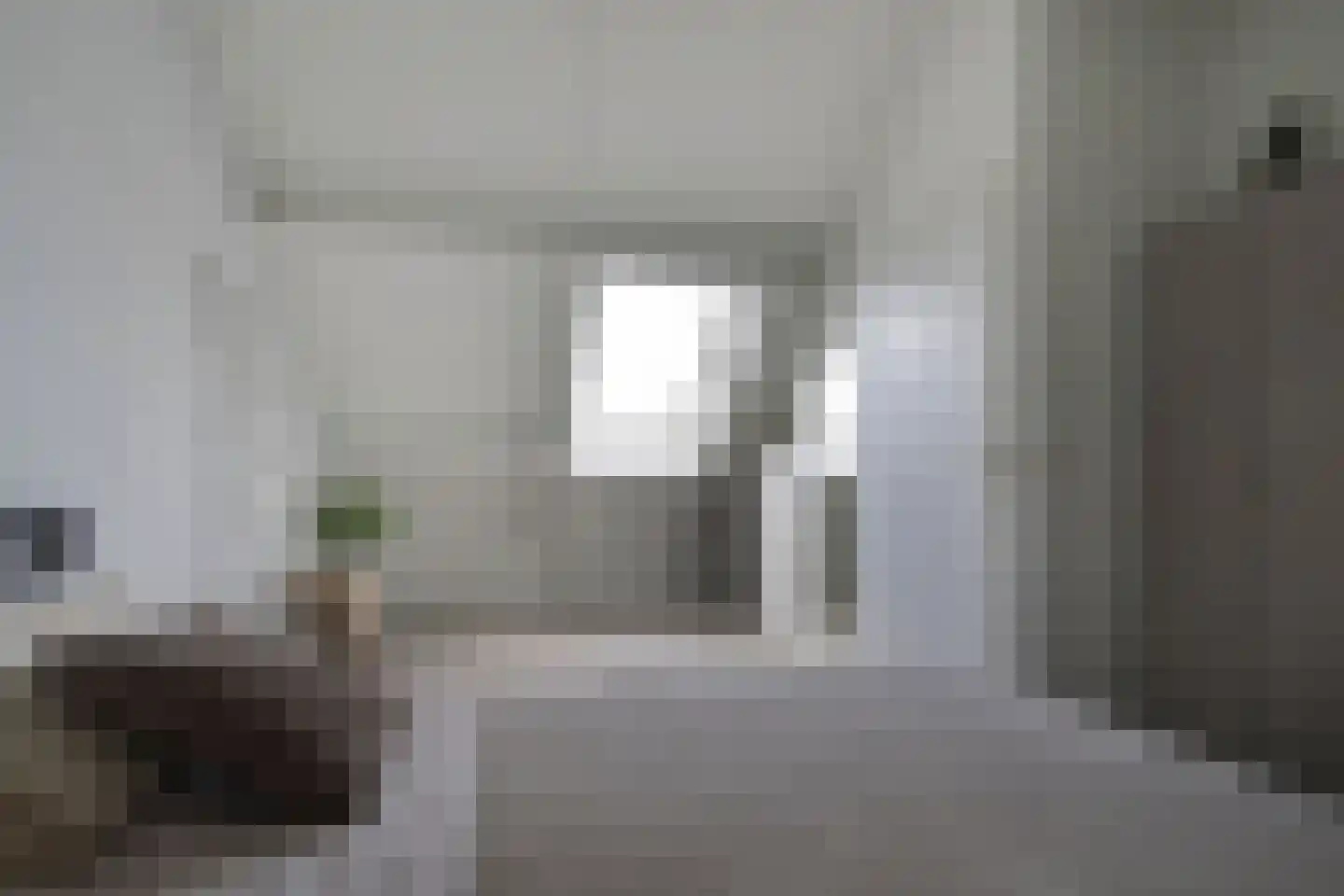 Lijster 2 Hoorn thumbnail 48