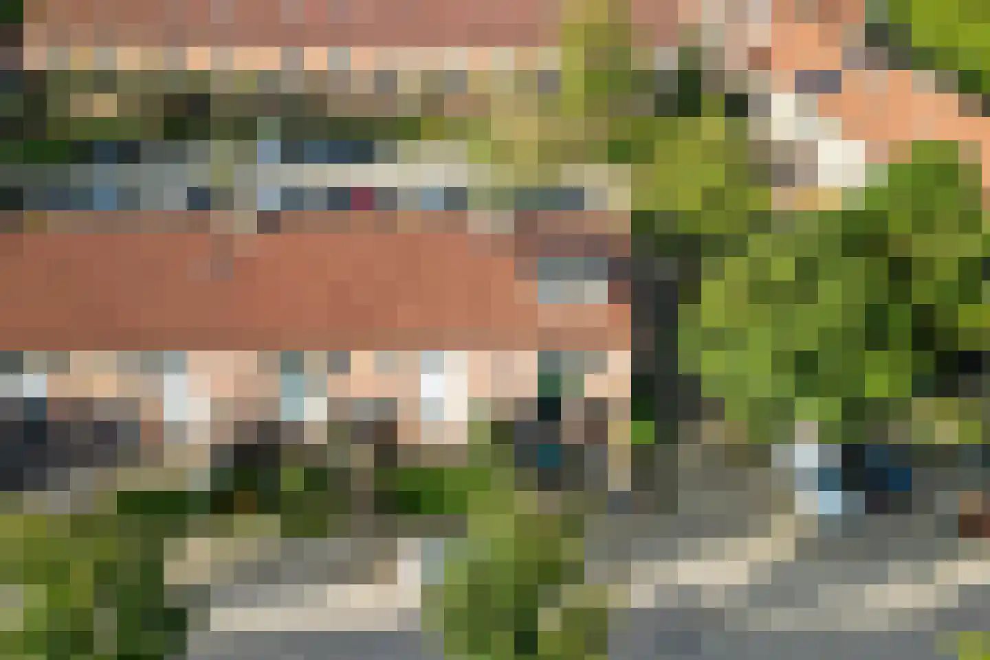 Lijster 2 Hoorn thumbnail 49