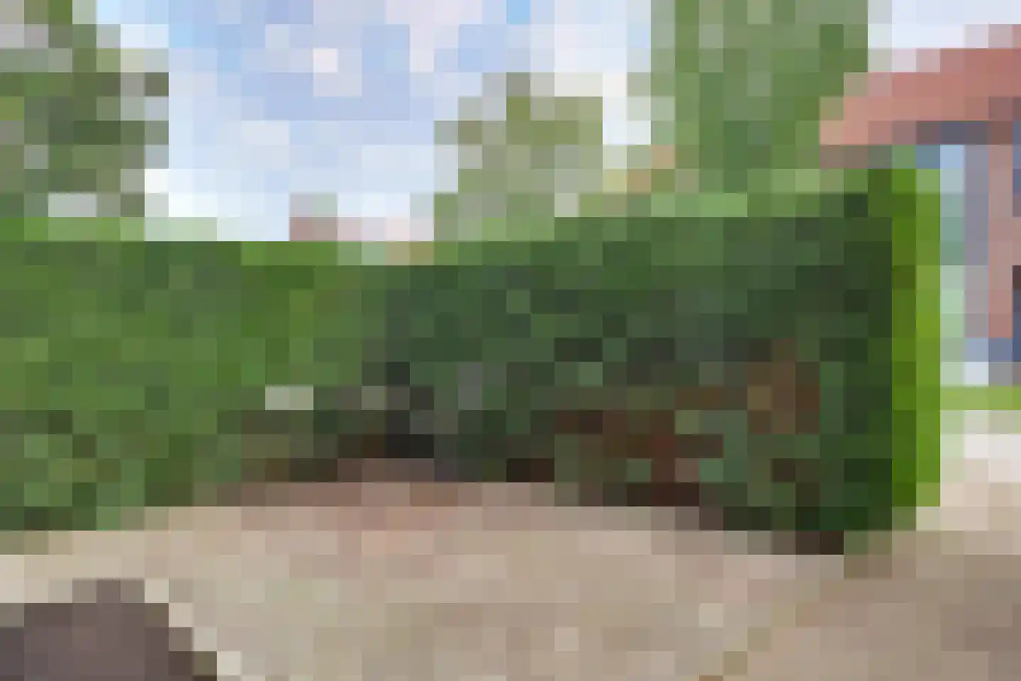 Lijster 2 Hoorn thumbnail 6