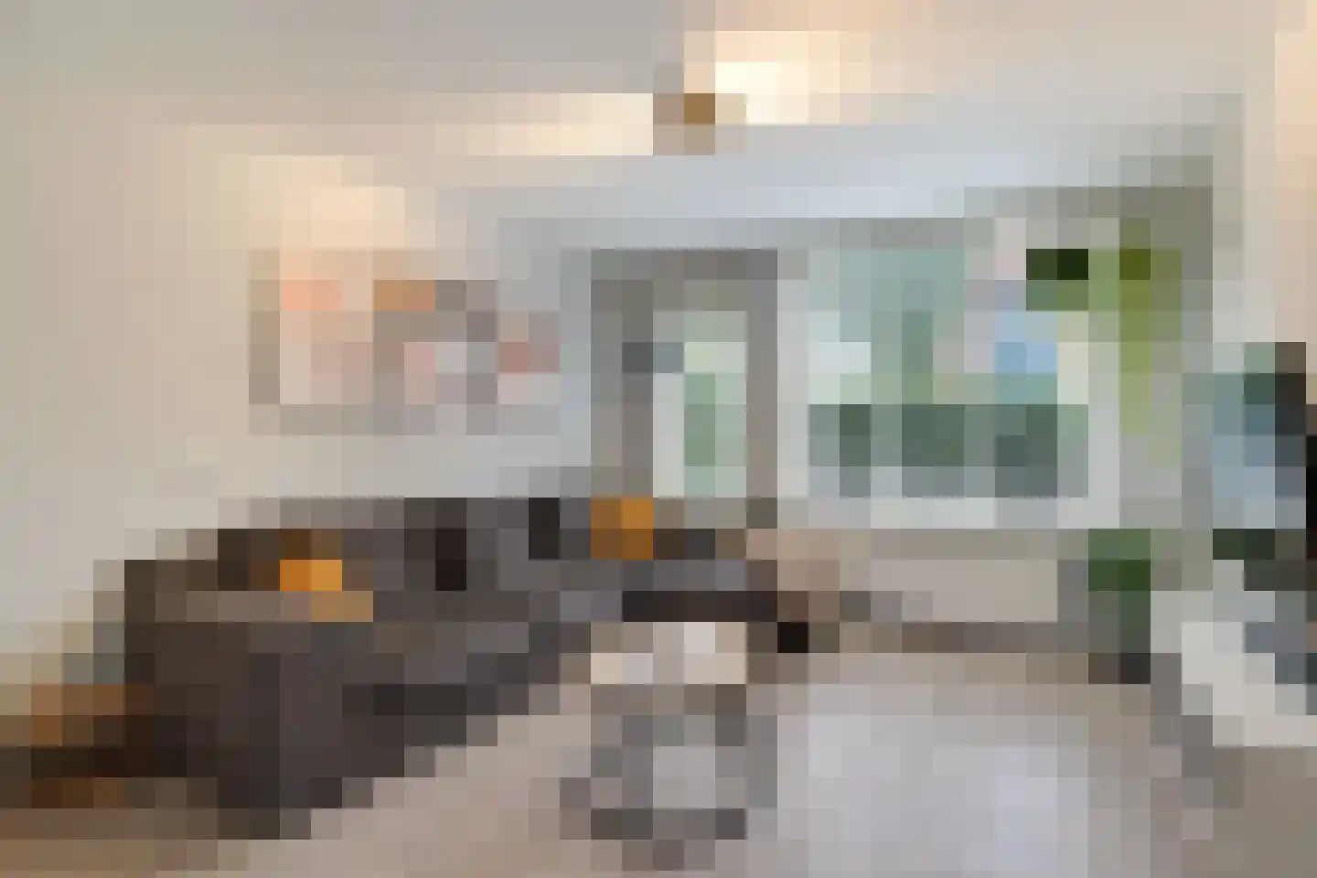 Lijster 2 Hoorn thumbnail 9