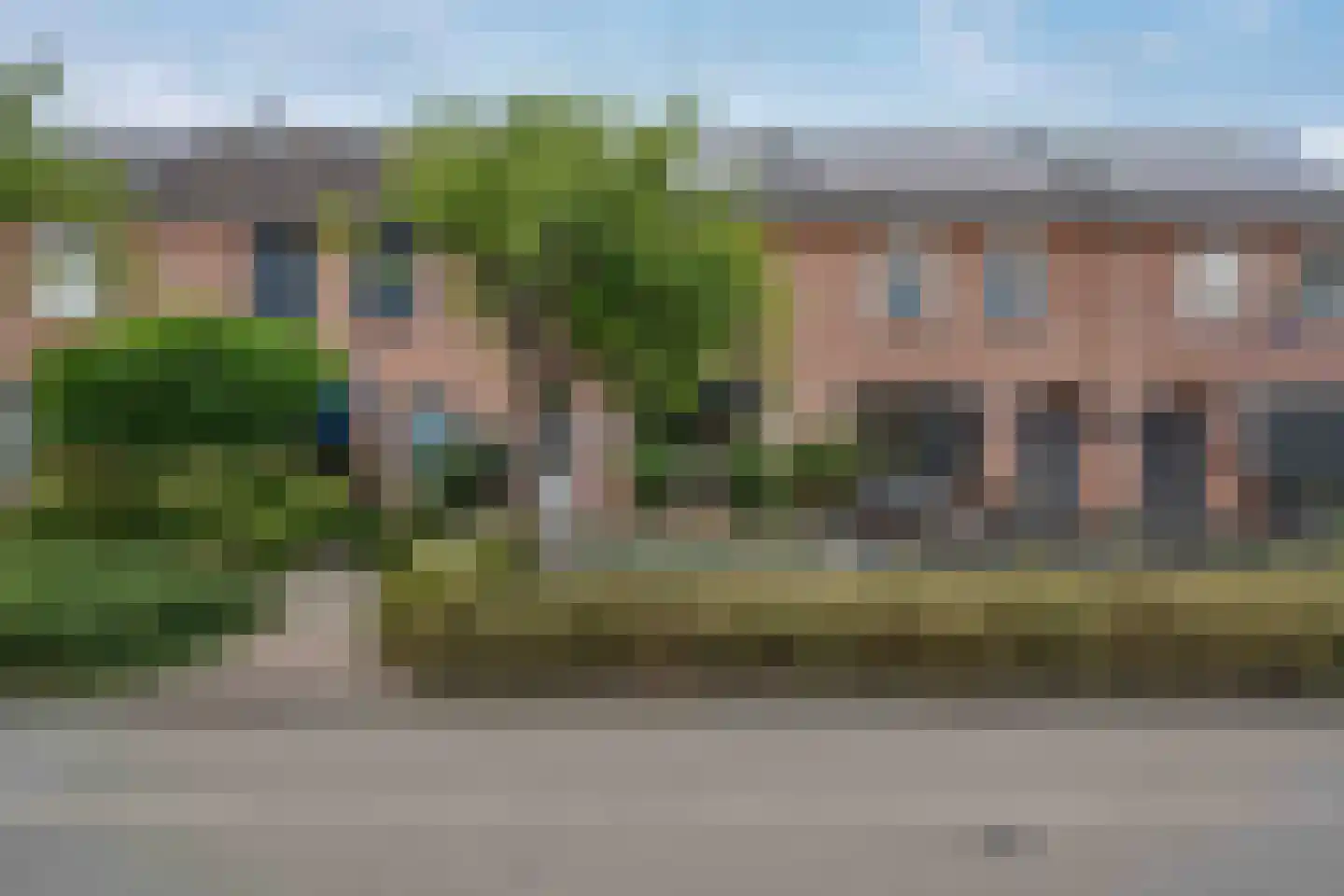 Lijster 21 Genemuiden