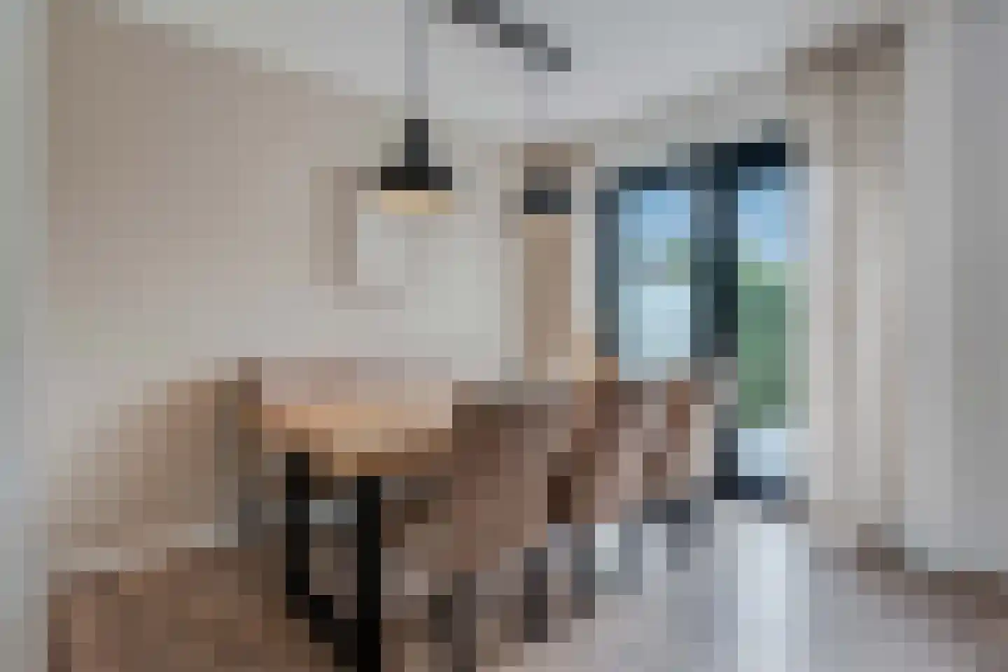 Lijster 21 Genemuiden thumbnail 13