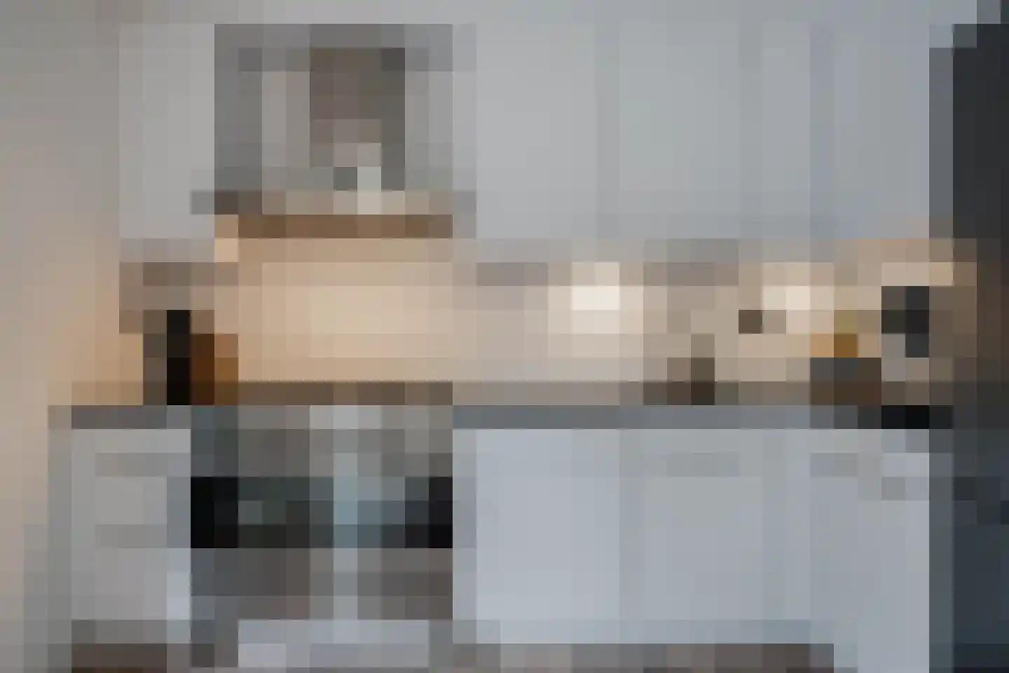 Lijster 21 Genemuiden thumbnail 17