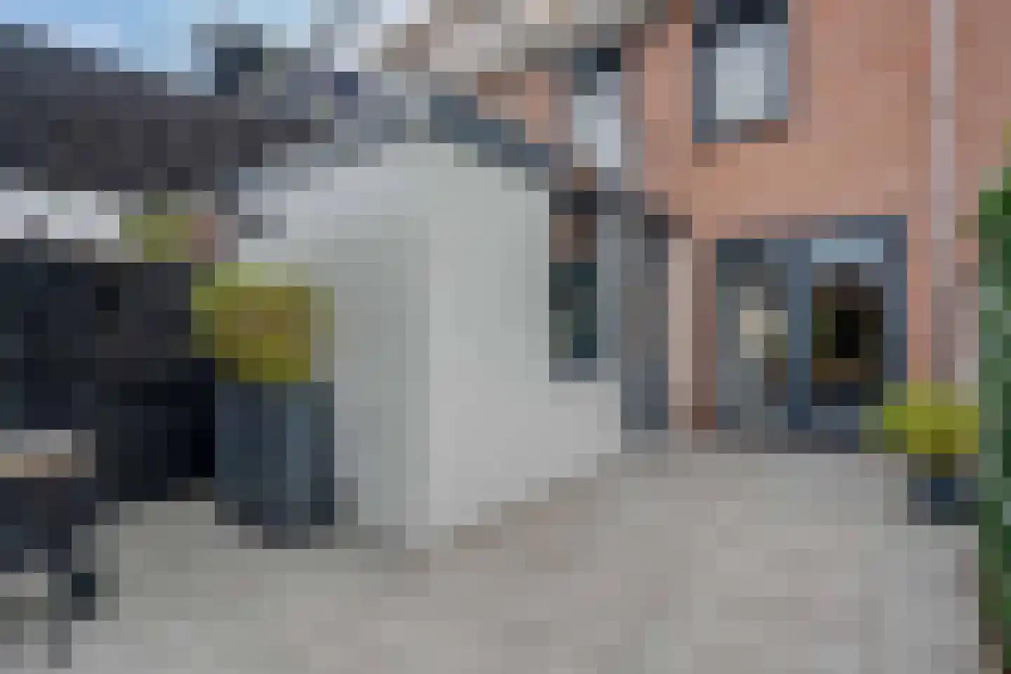 Lijster 21 Genemuiden thumbnail 22