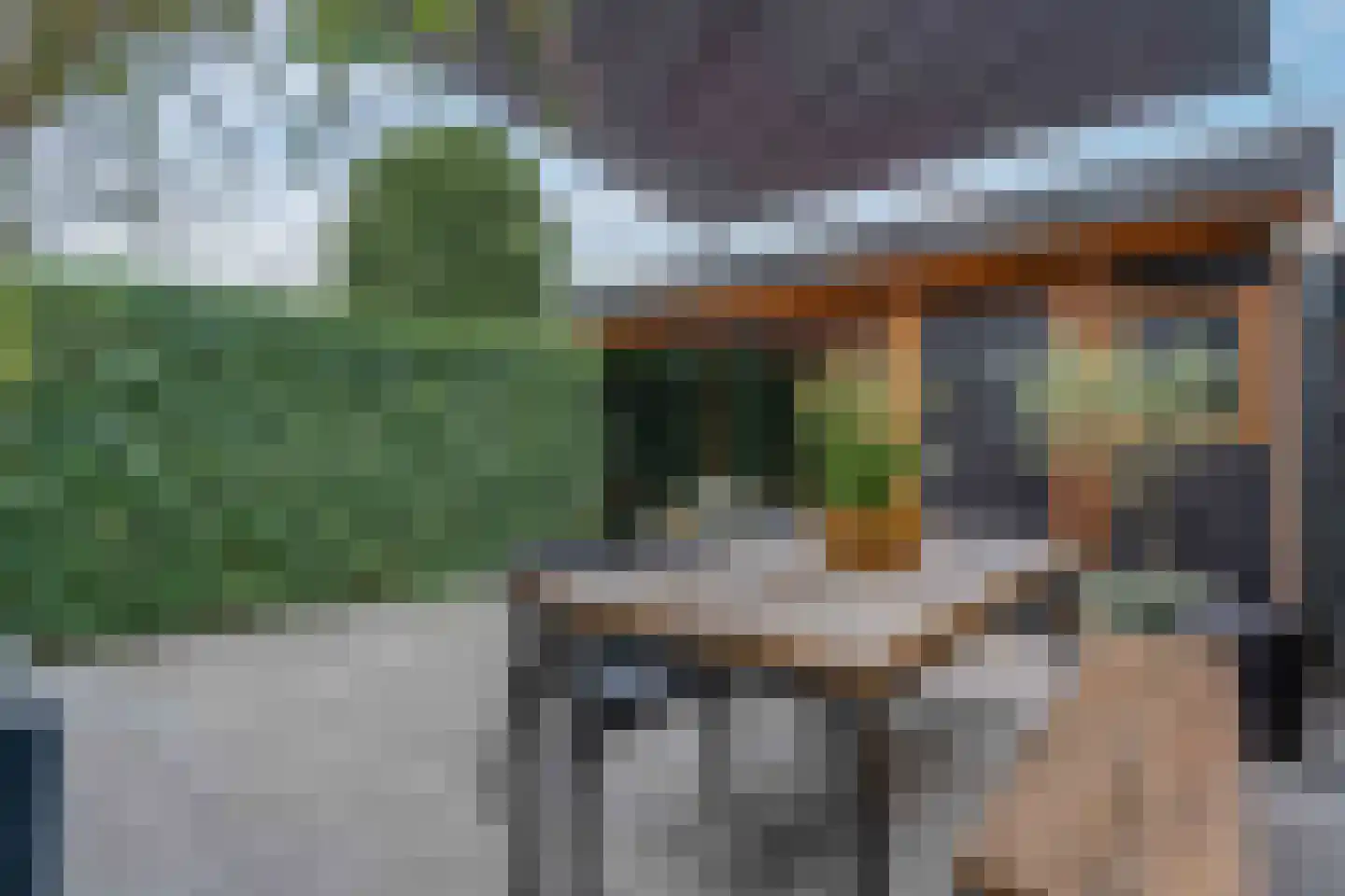 Lijster 21 Genemuiden thumbnail 26