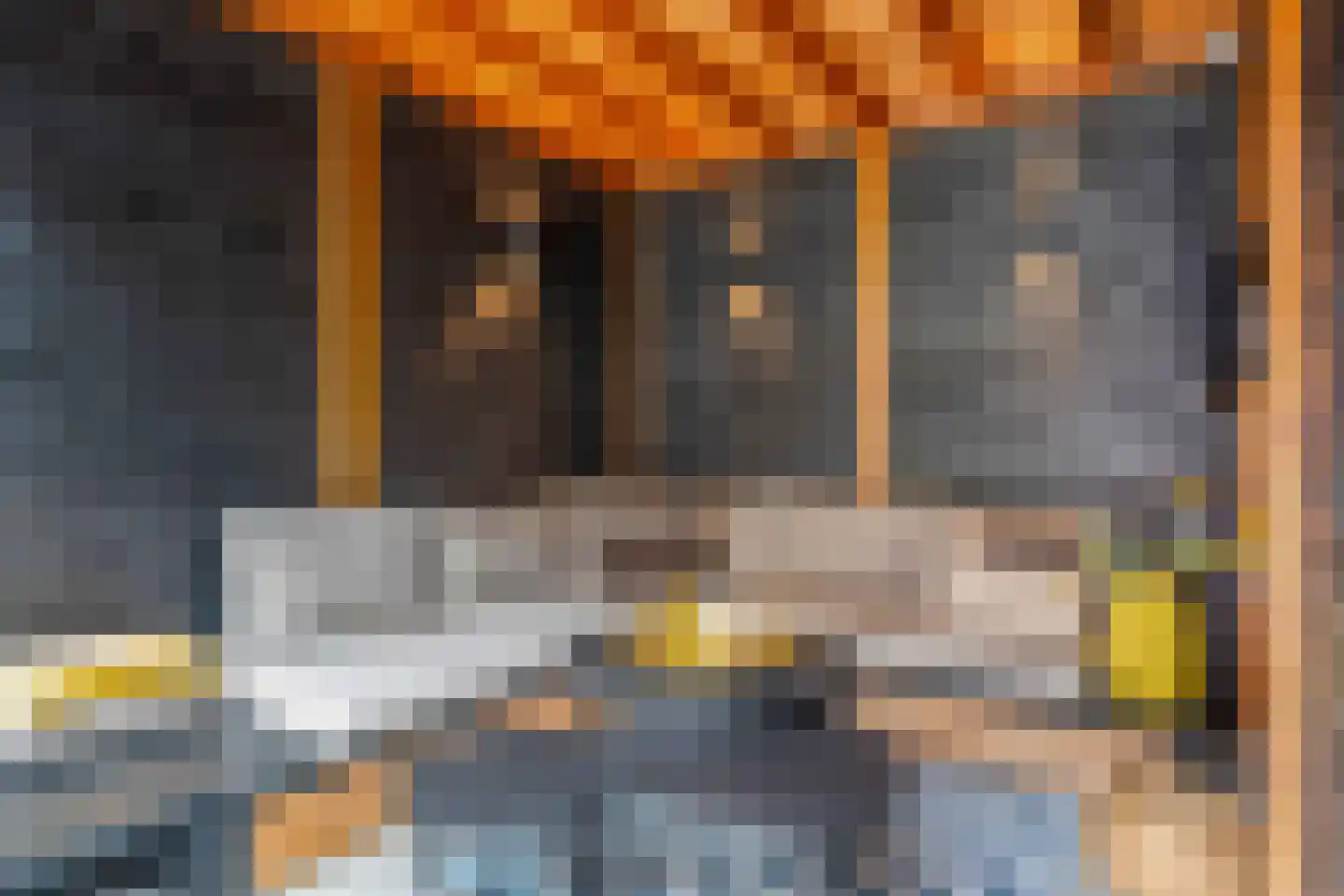 Lijster 21 Genemuiden thumbnail 28