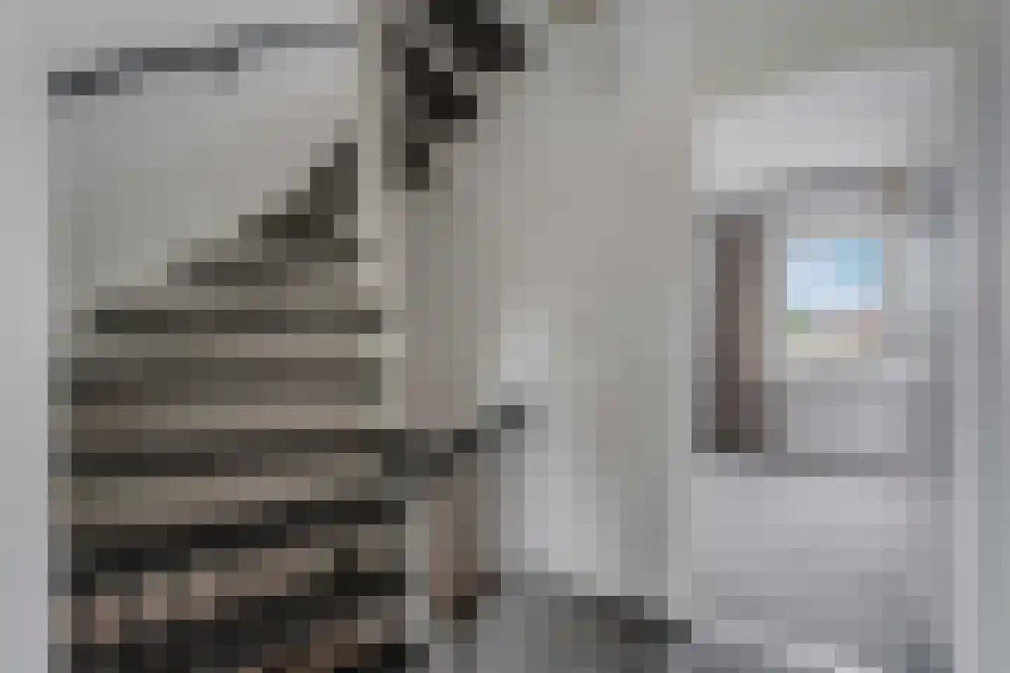 Lijster 21 Genemuiden thumbnail 30