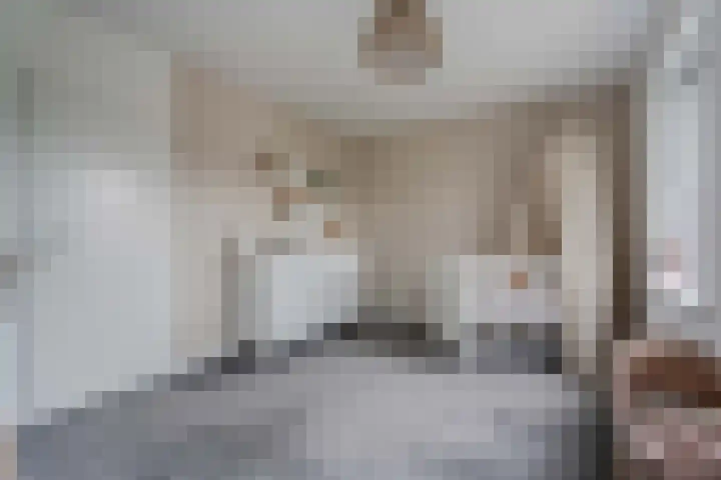 Lijster 21 Genemuiden thumbnail 38