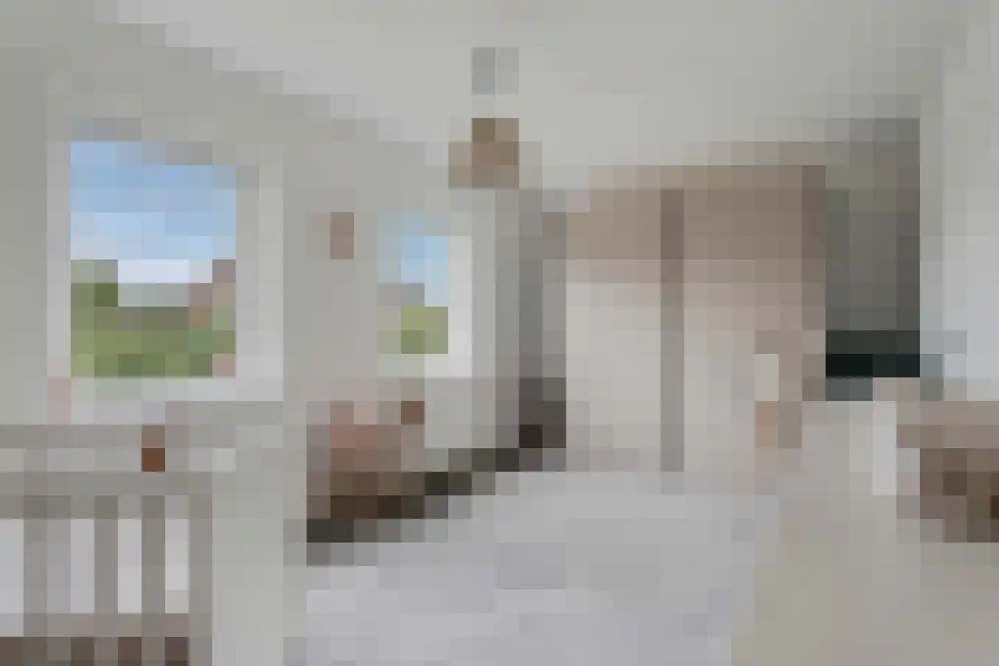 Lijster 21 Genemuiden thumbnail 39
