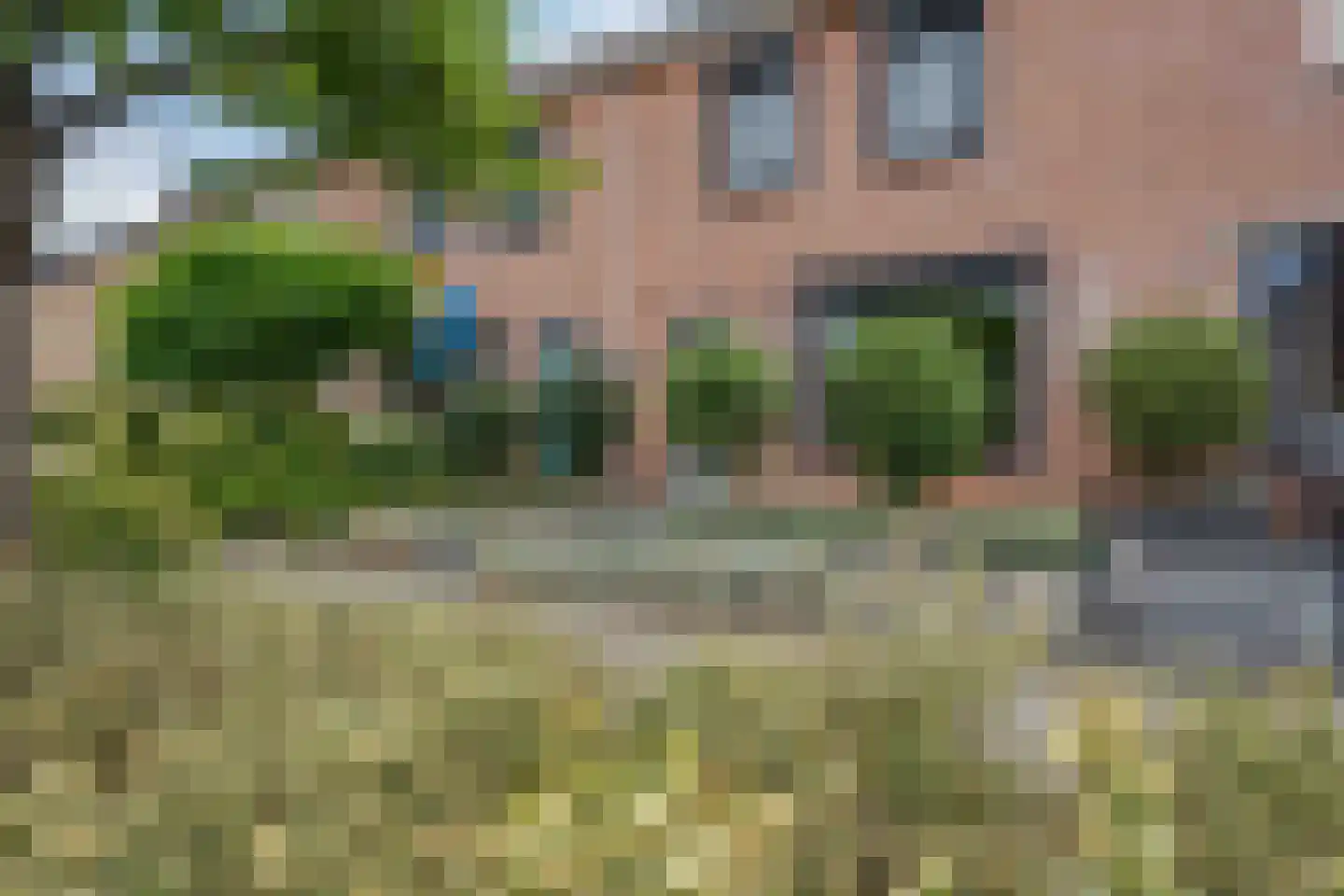 Lijster 21 Genemuiden thumbnail 4