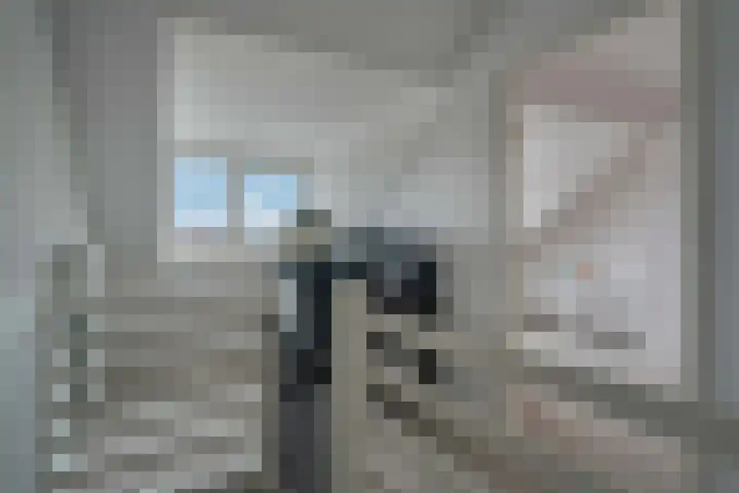 Lijster 21 Genemuiden thumbnail 40