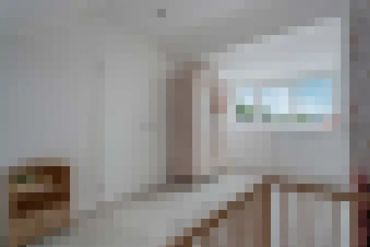 Lijster 21 Genemuiden thumbnail 43