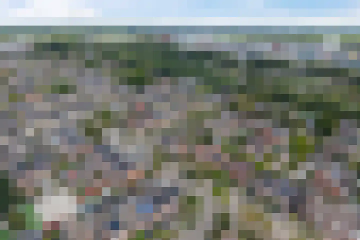 Lijster 21 Genemuiden thumbnail 47