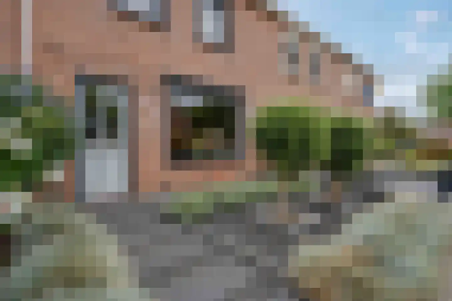 Lijster 21 Genemuiden thumbnail 5