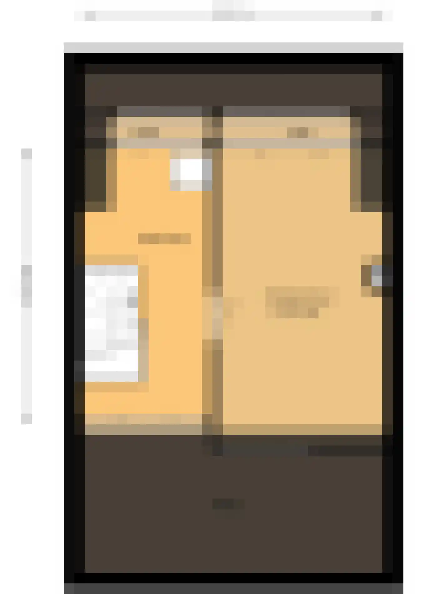 Lijster 21 Genemuiden thumbnail 53
