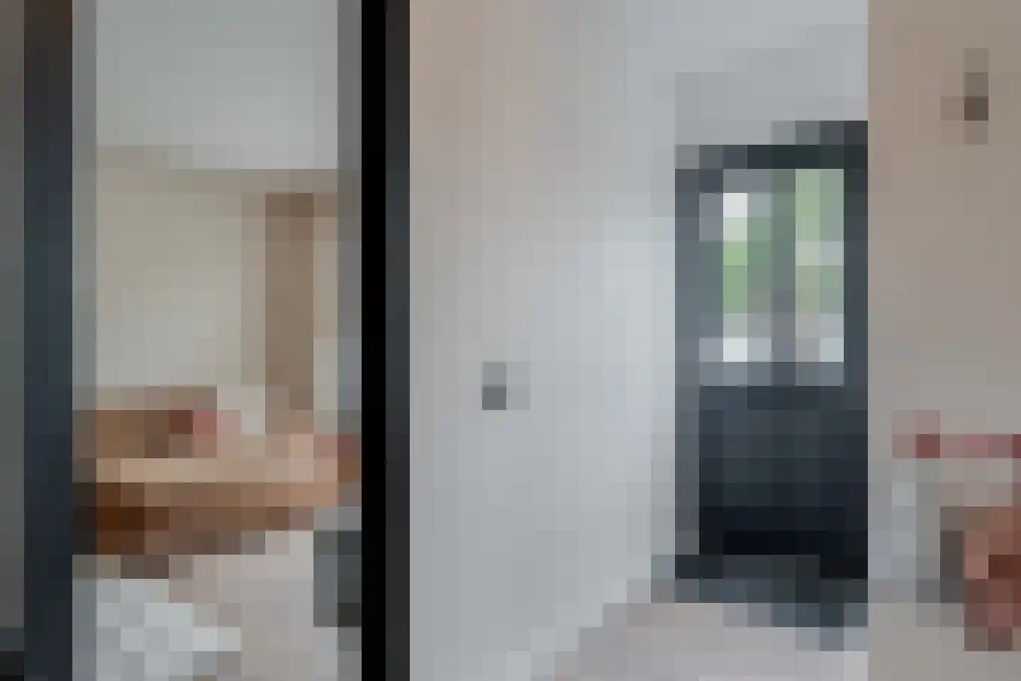 Lijster 21 Genemuiden thumbnail 7