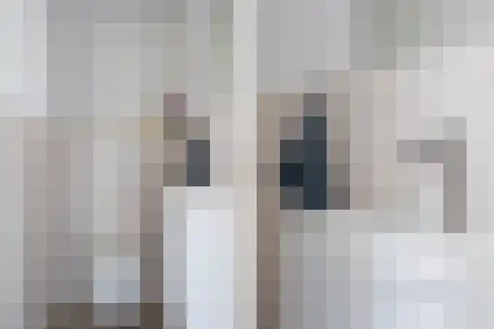 Lijster 21 Hoogvliet Rotterdam thumbnail 12