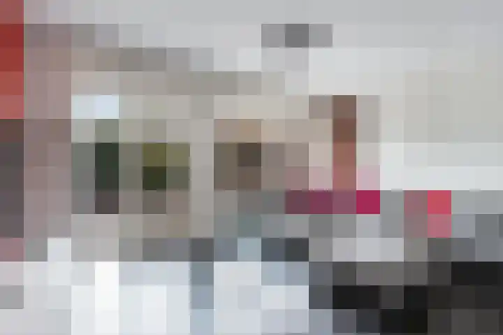 Lijster 21 Hoogvliet Rotterdam thumbnail 13