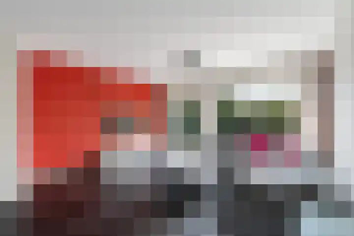 Lijster 21 Hoogvliet Rotterdam thumbnail 15