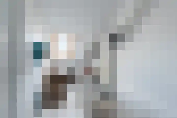 Lijster 21 Hoogvliet Rotterdam thumbnail 33