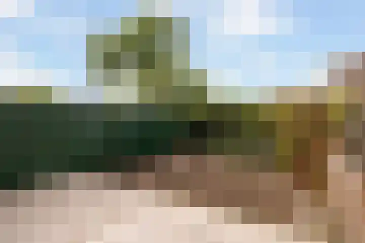 Lijster 21 Hoogvliet Rotterdam thumbnail 38