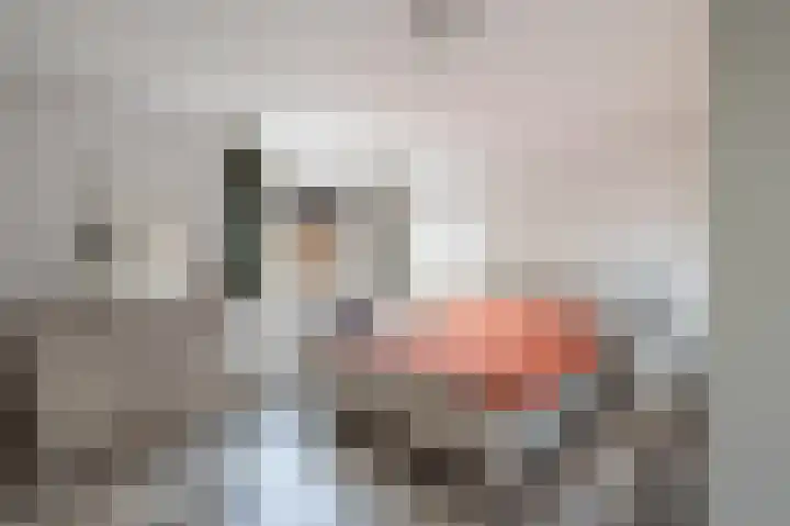 Lijster 21 Hoogvliet Rotterdam thumbnail 5