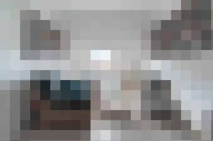 Lijster 21 Hoogvliet Rotterdam thumbnail 8