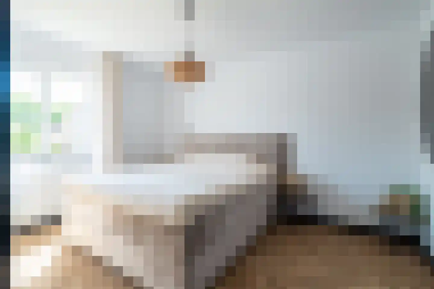 Lijster 24 Sprang-Capelle thumbnail 11