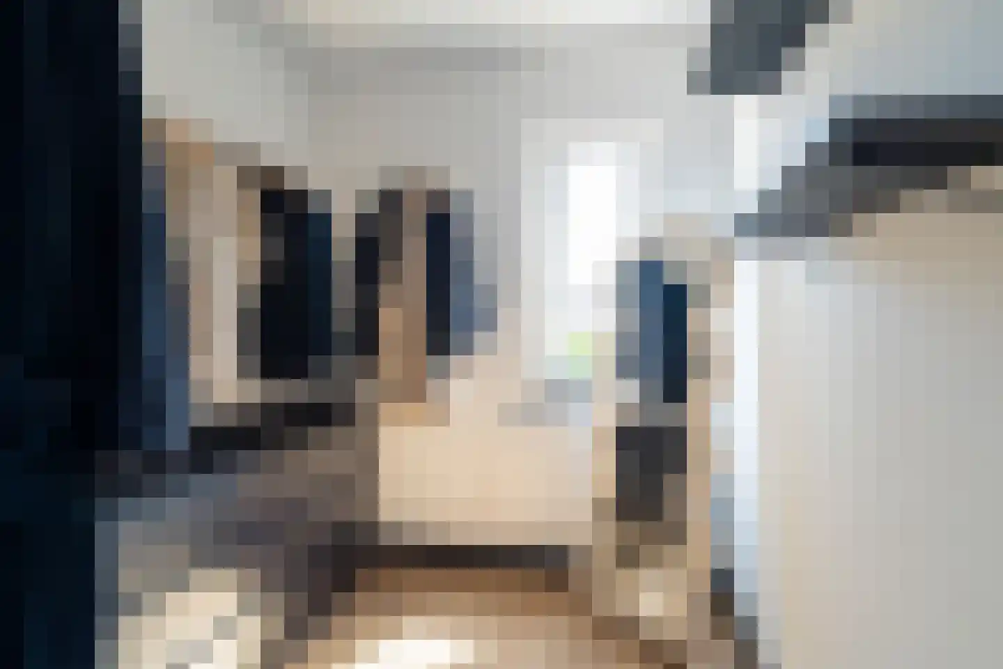 Lijster 24 Sprang-Capelle thumbnail 15
