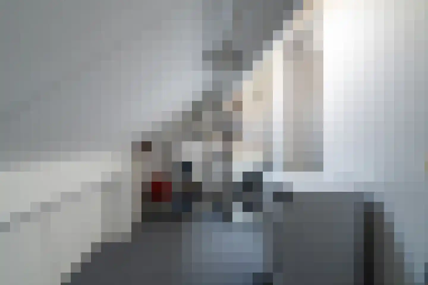Lijster 24 Sprang-Capelle thumbnail 18
