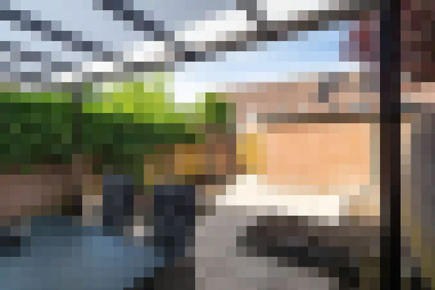 Lijster 24 Sprang-Capelle thumbnail 20