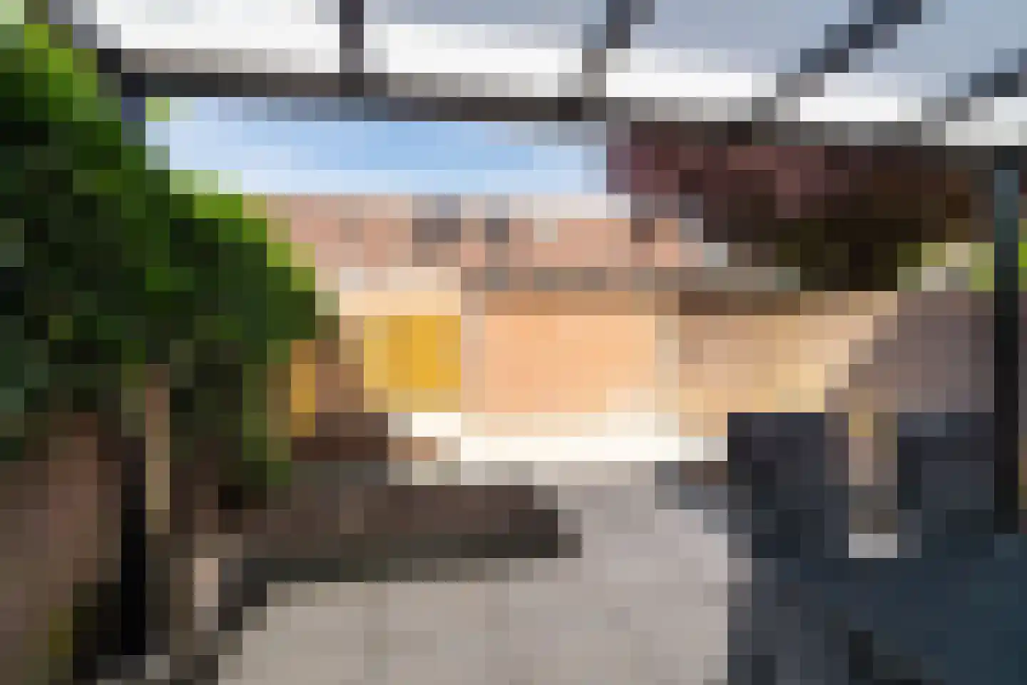 Lijster 24 Sprang-Capelle thumbnail 21