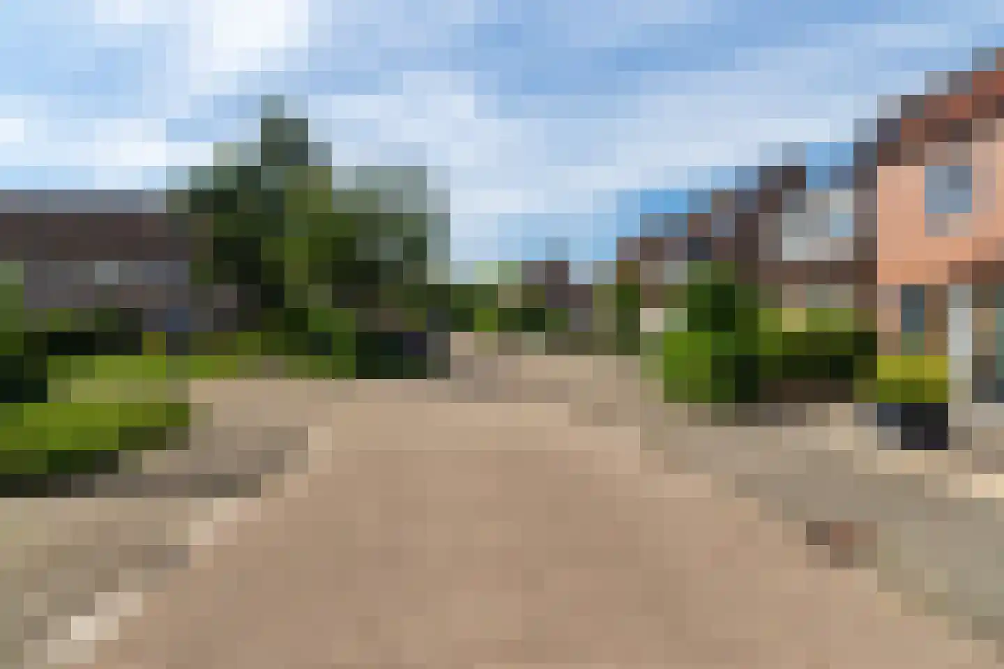 Lijster 24 Sprang-Capelle thumbnail 23
