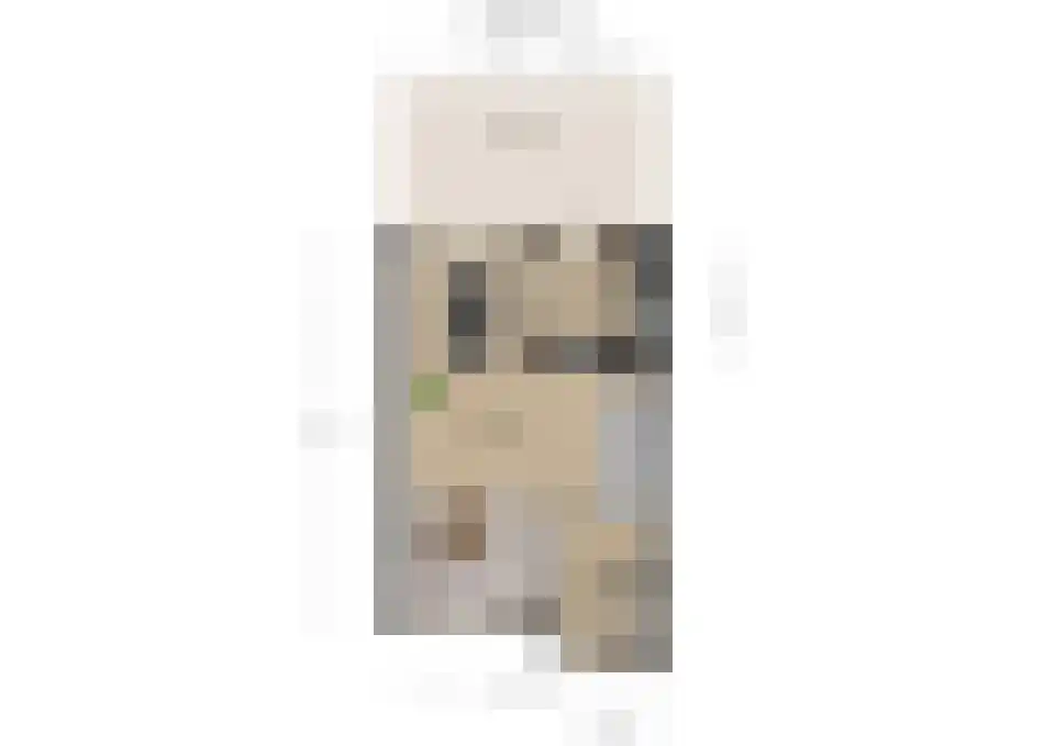 Lijster 24 Sprang-Capelle thumbnail 24