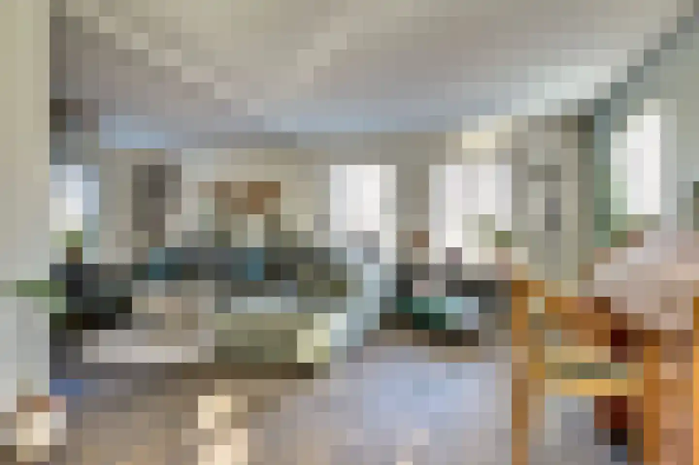 Lijster 24 Zuid-Scharwoude thumbnail 12