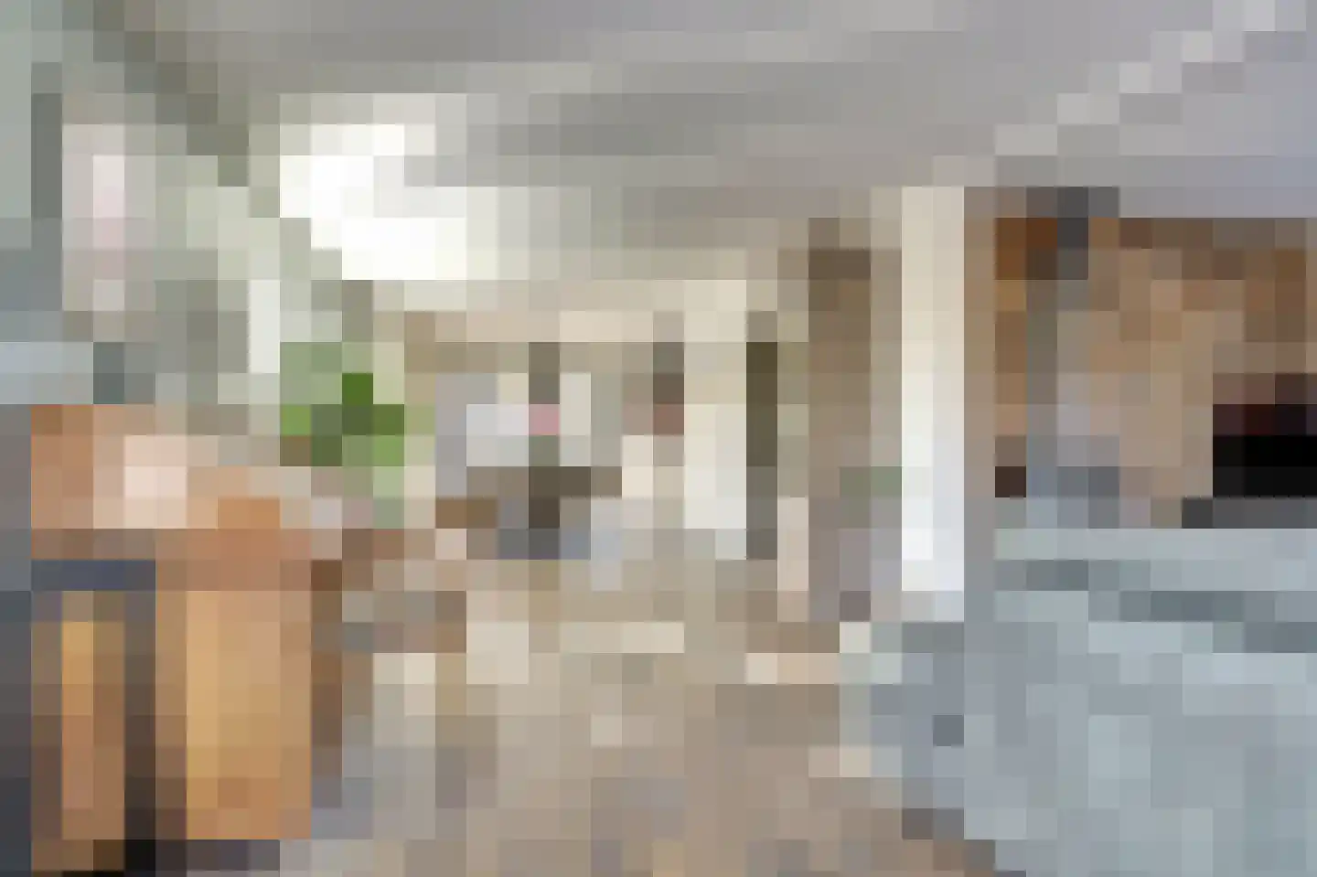 Lijster 24 Zuid-Scharwoude thumbnail 14