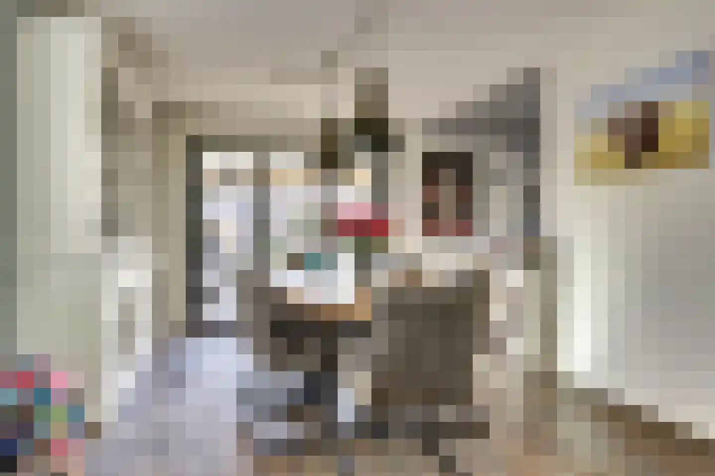 Lijster 24 Zuid-Scharwoude thumbnail 16