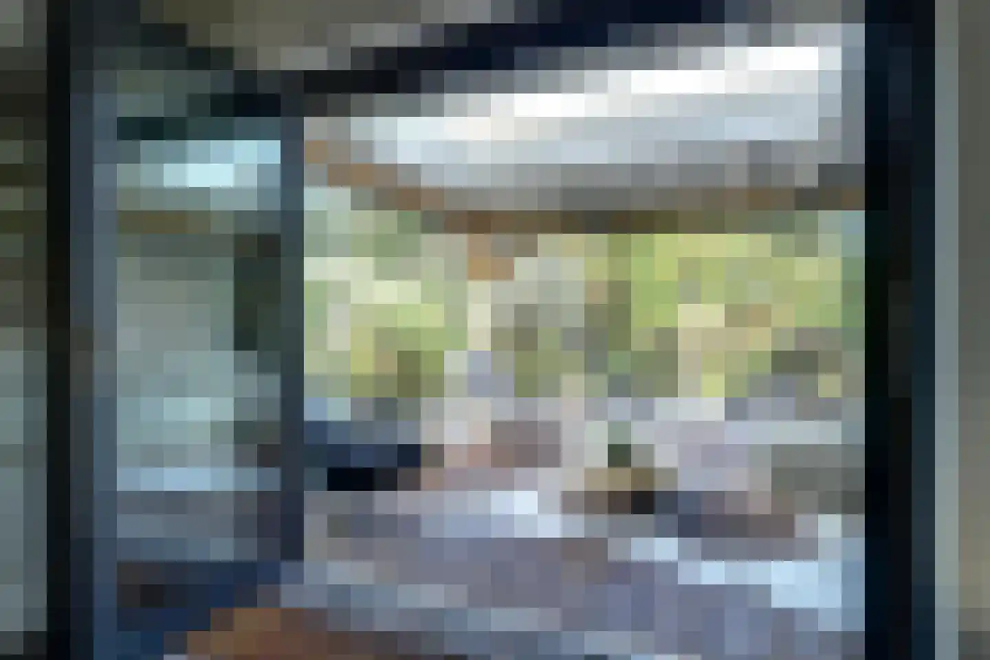Lijster 24 Zuid-Scharwoude thumbnail 17