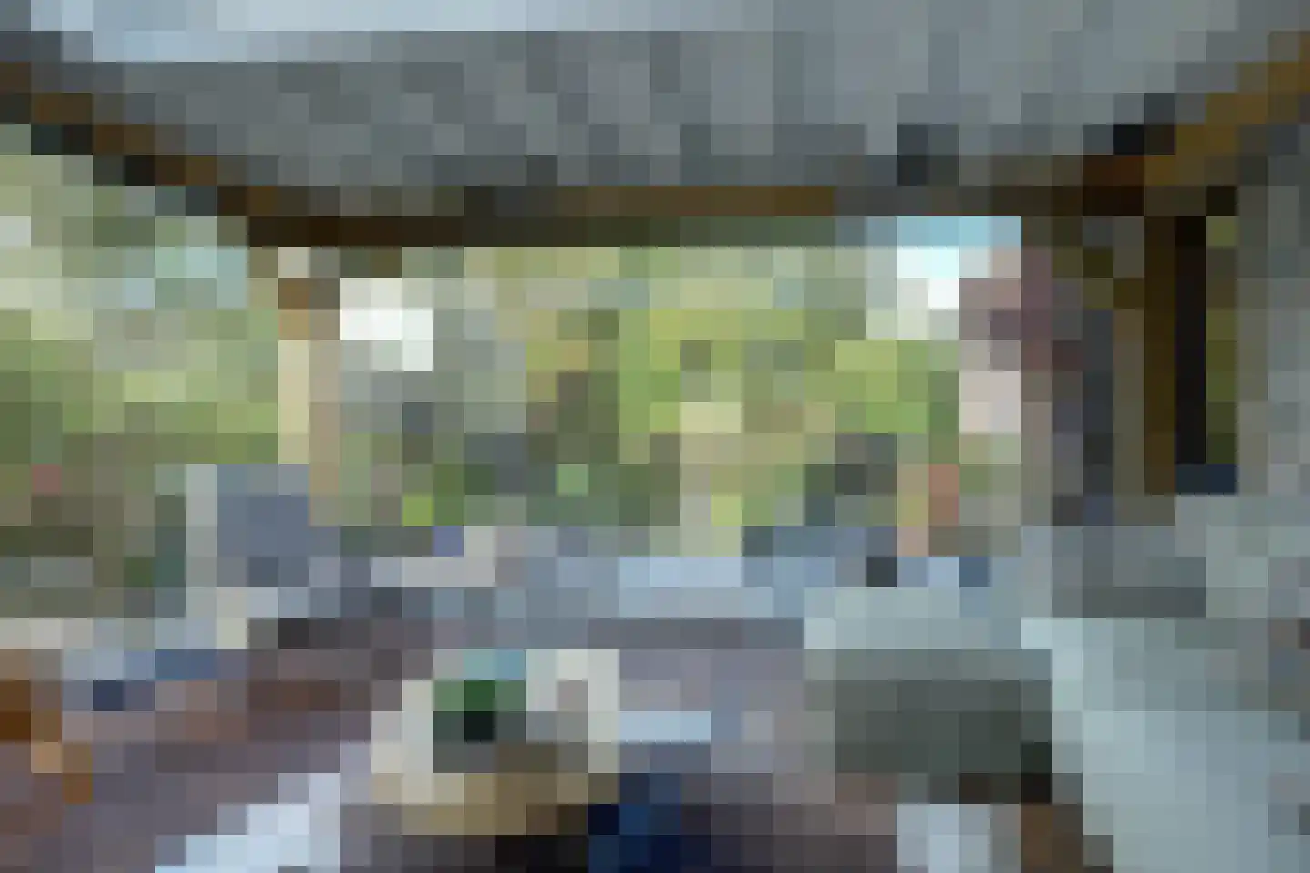 Lijster 24 Zuid-Scharwoude thumbnail 18