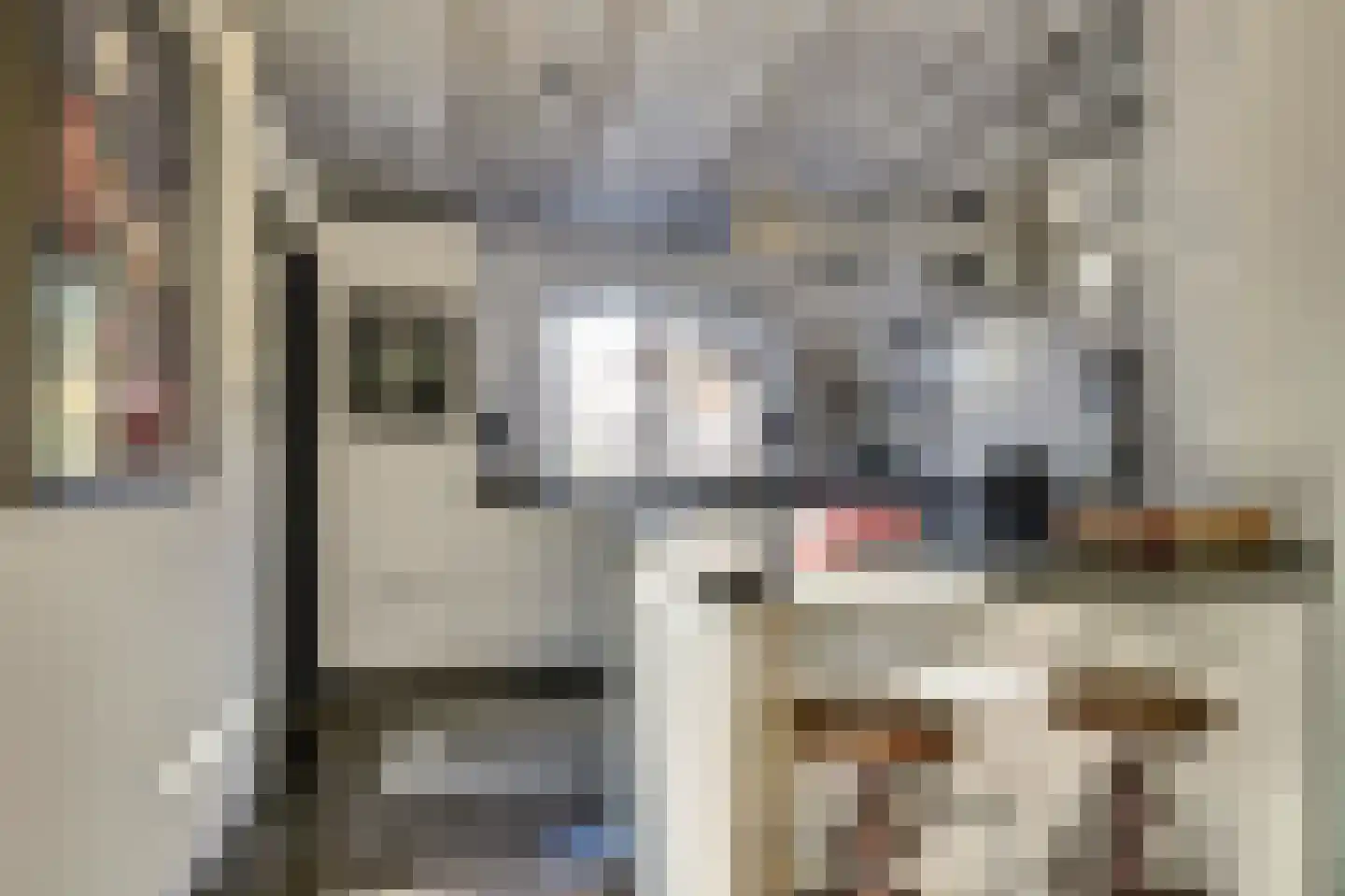 Lijster 24 Zuid-Scharwoude thumbnail 19
