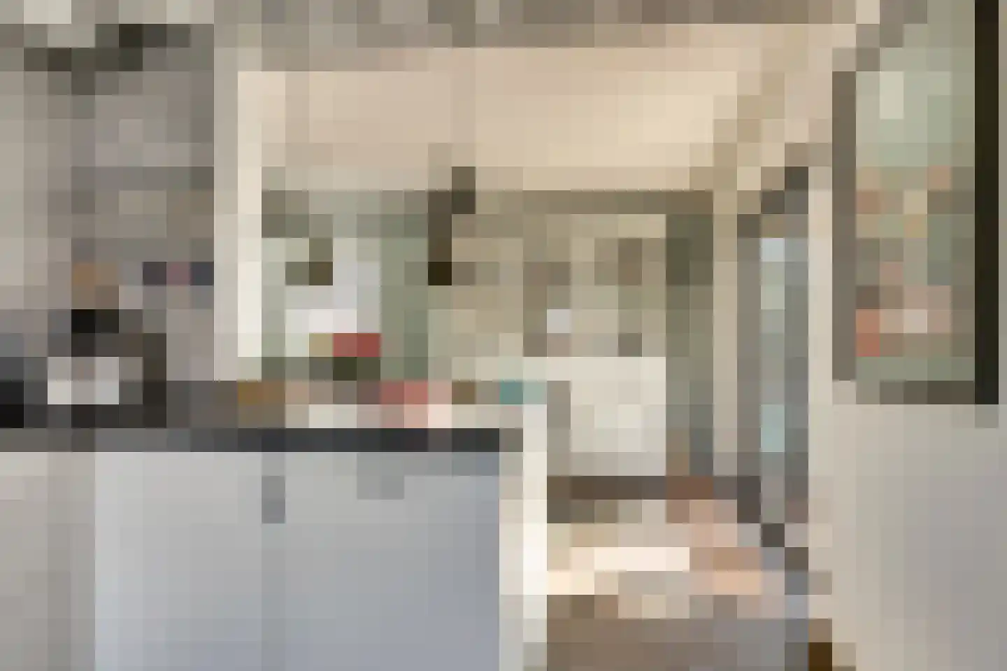 Lijster 24 Zuid-Scharwoude thumbnail 22