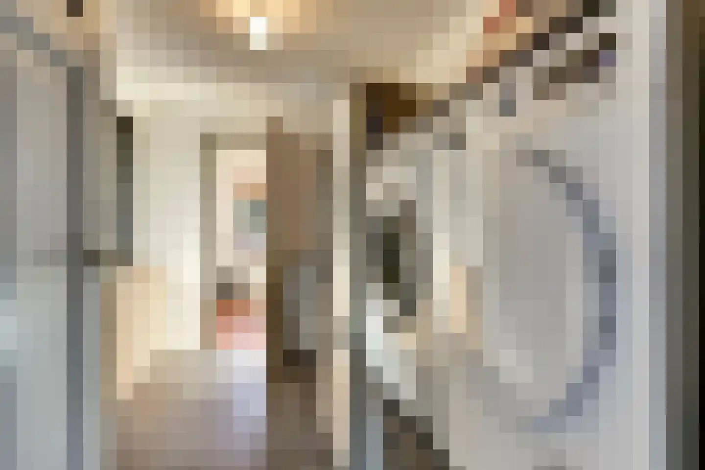 Lijster 24 Zuid-Scharwoude thumbnail 23