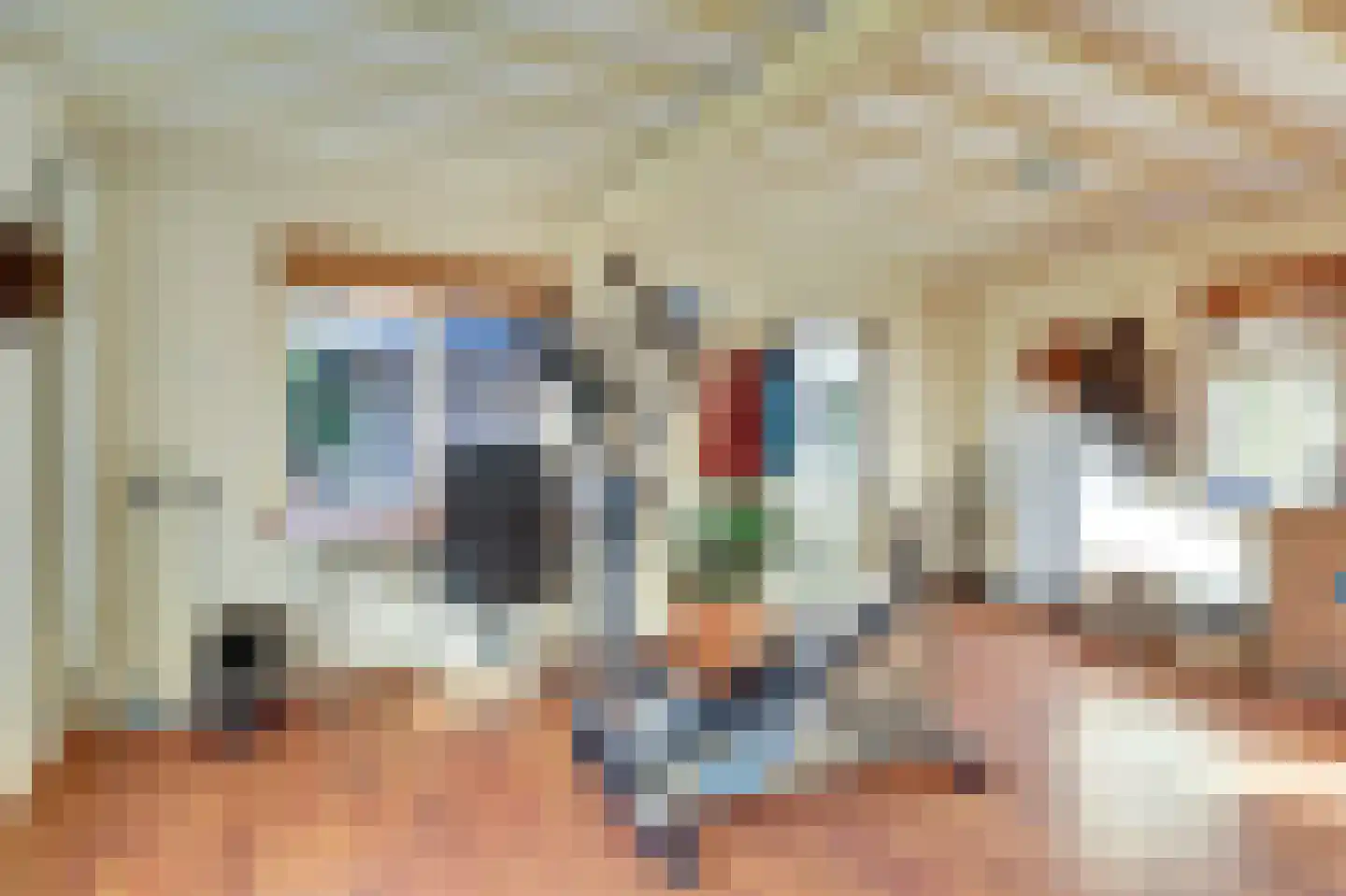 Lijster 24 Zuid-Scharwoude thumbnail 24