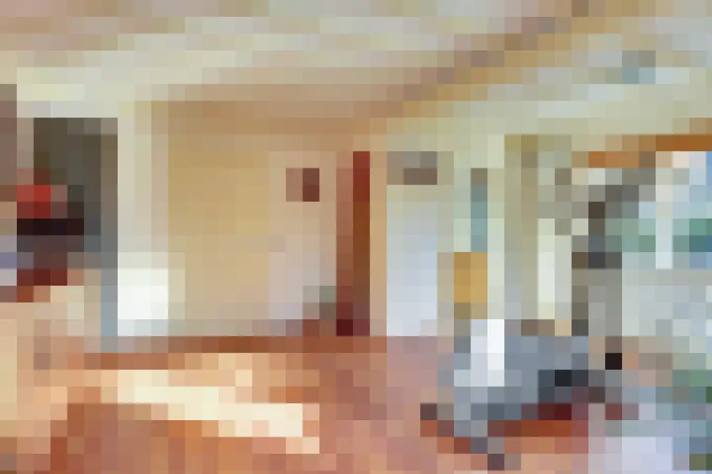 Lijster 24 Zuid-Scharwoude thumbnail 25