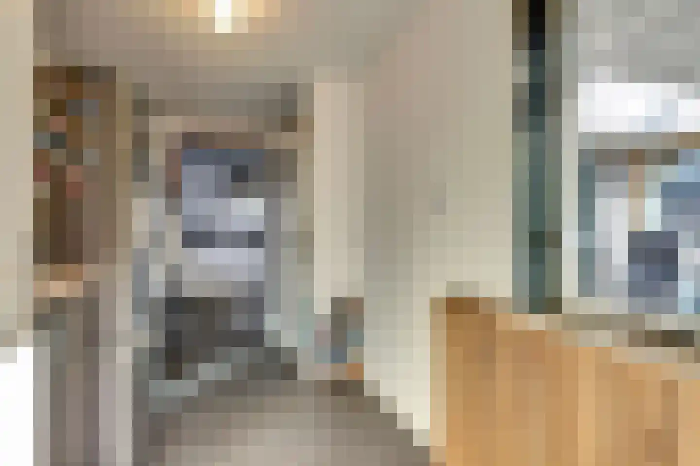Lijster 24 Zuid-Scharwoude thumbnail 26