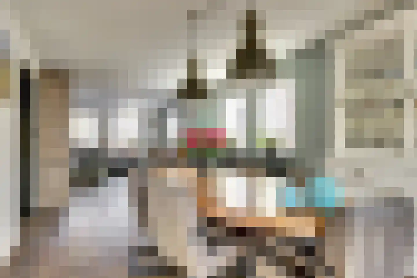 Lijster 24 Zuid-Scharwoude thumbnail 27